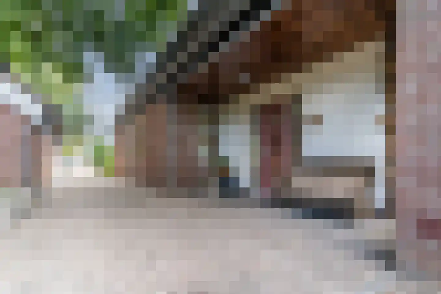 Benedenweg 314 Sint Pancras thumbnail 9