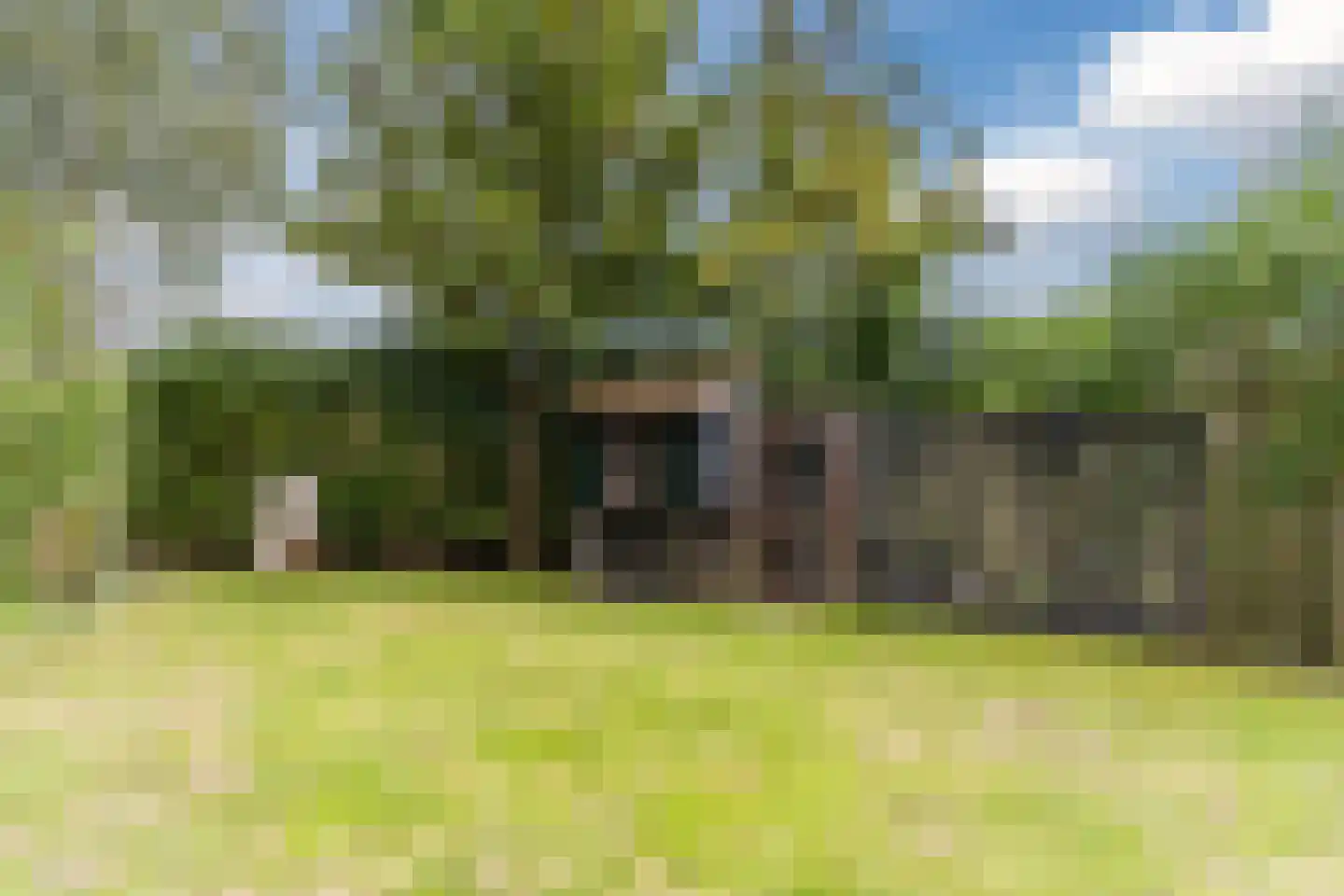 Benedenweg 314 Sint Pancras thumbnail 93
