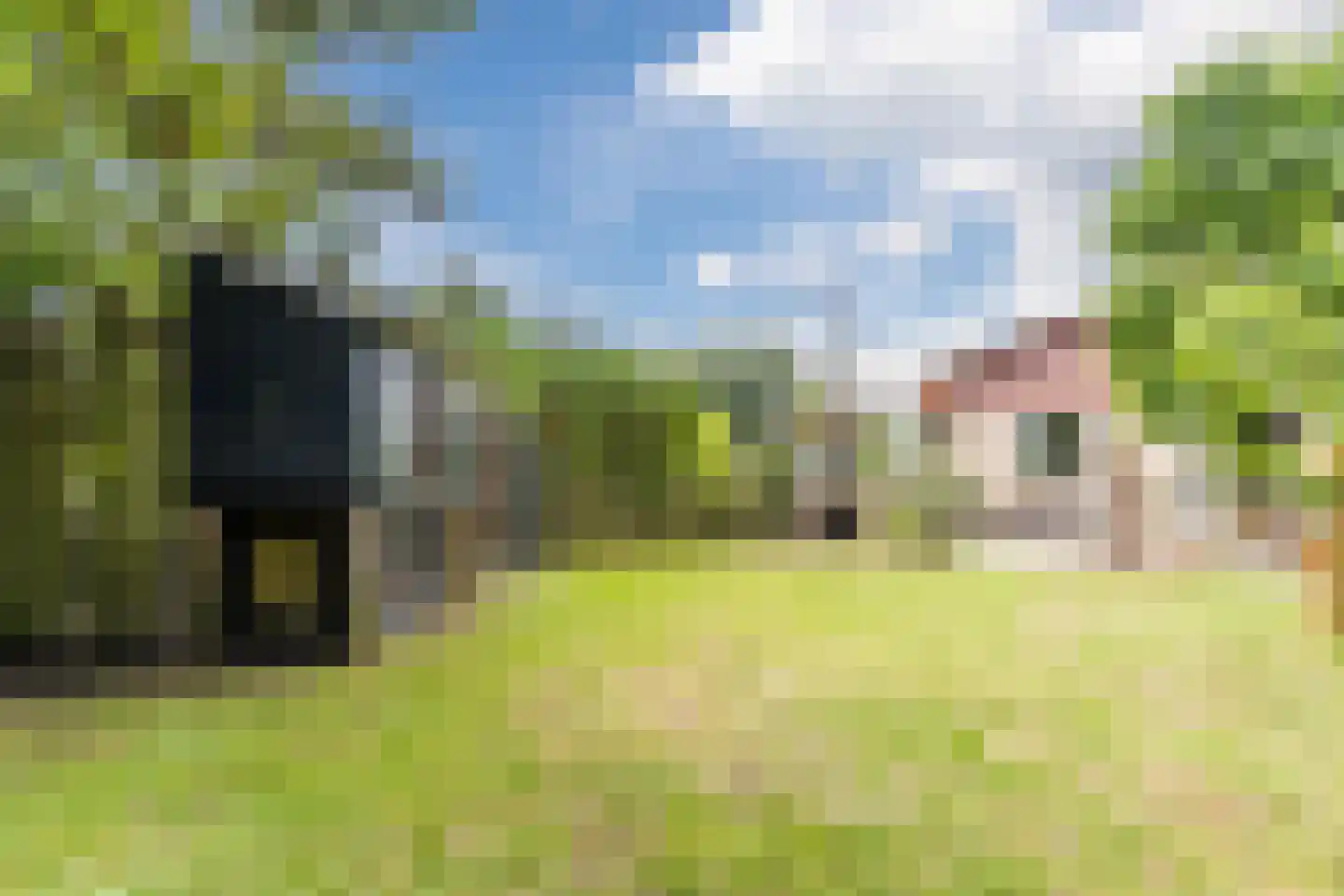 Benedenweg 314 Sint Pancras thumbnail 94
