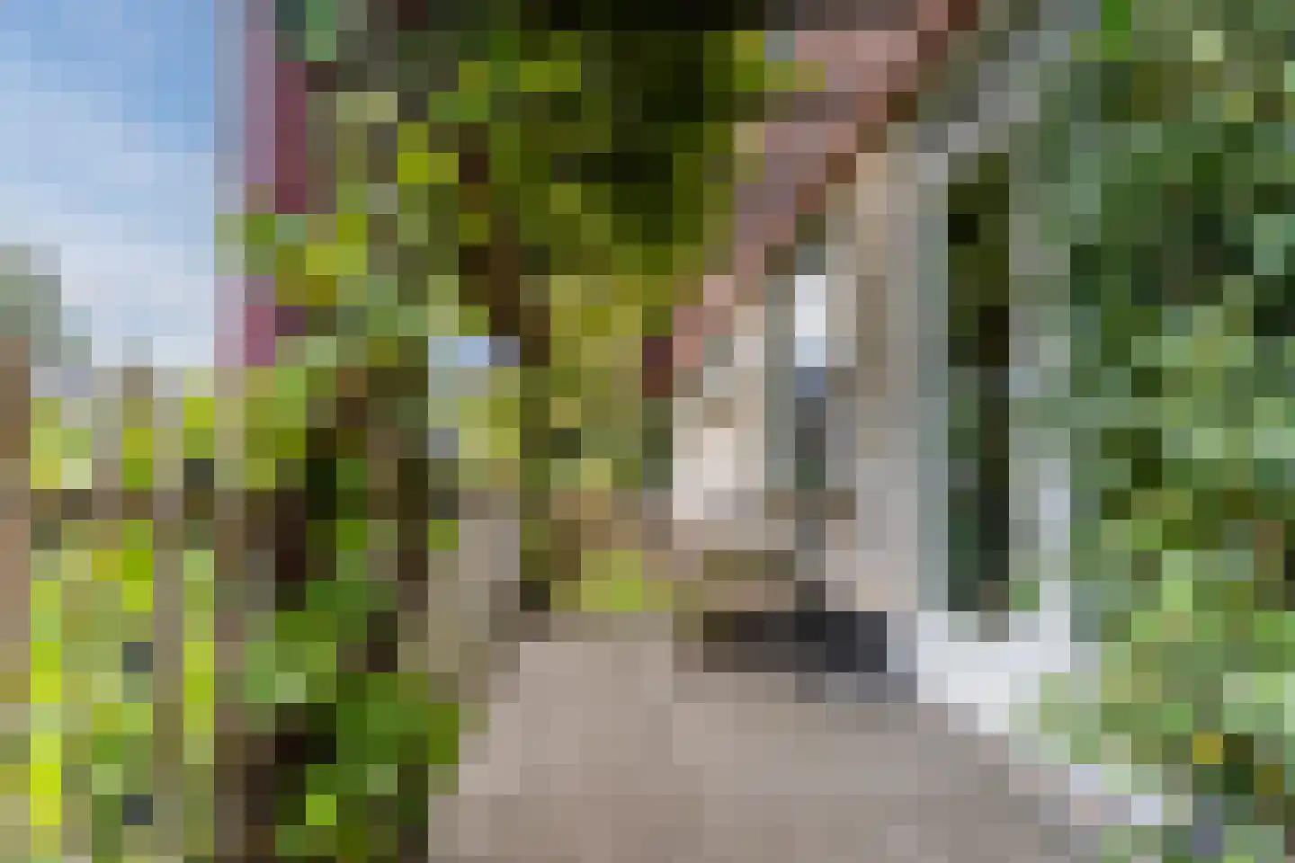 Benedenweg 314 Sint Pancras thumbnail 96