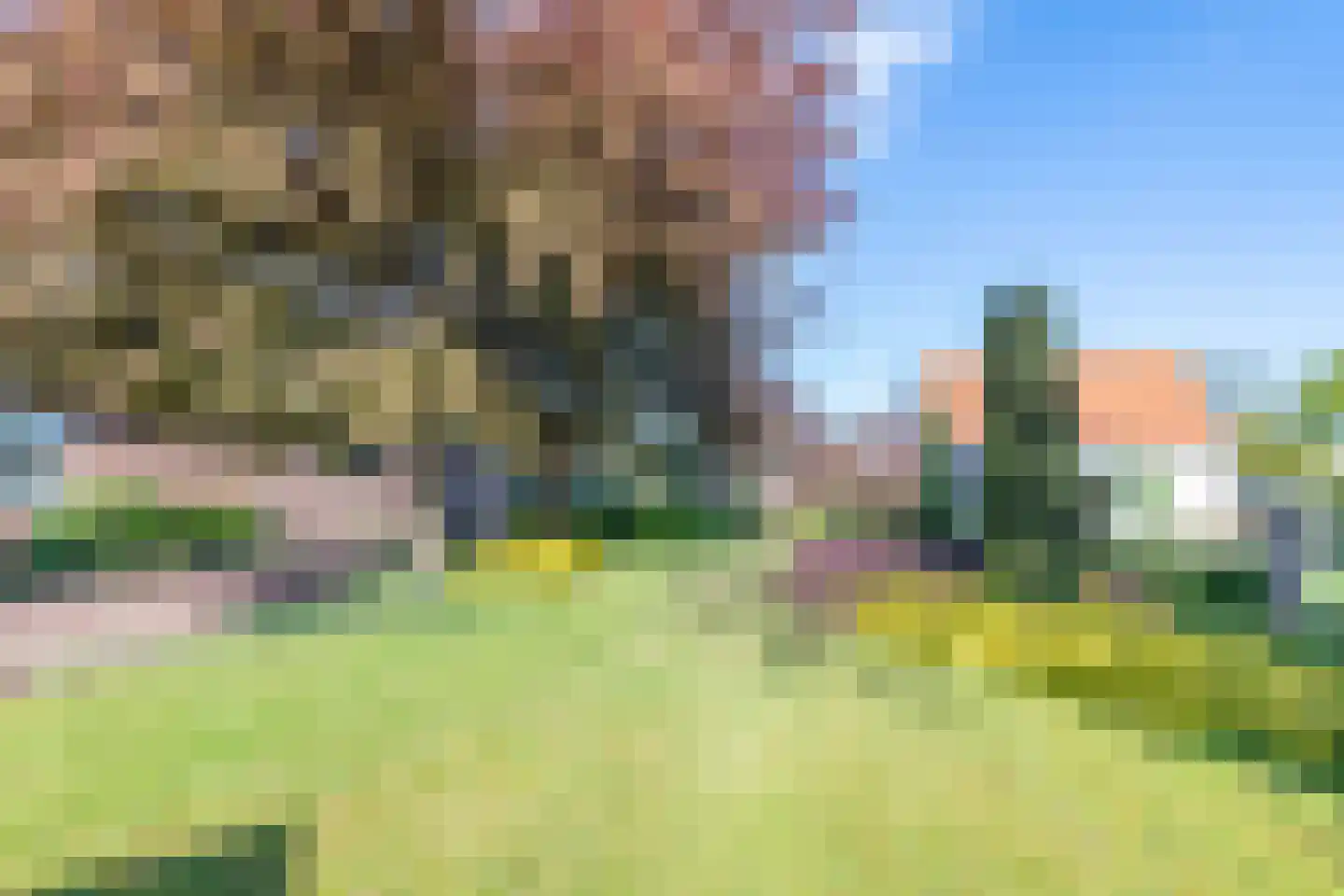 Benedenweg 78 Sint Pancras thumbnail 4