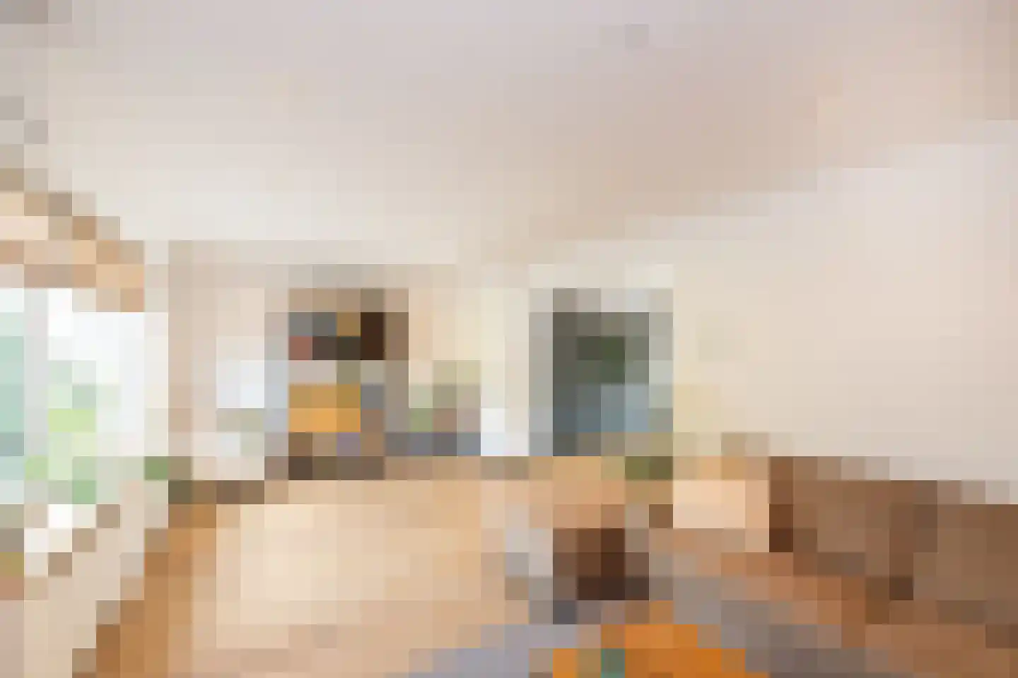 Benedicstraat 3 Gronsveld thumbnail 11