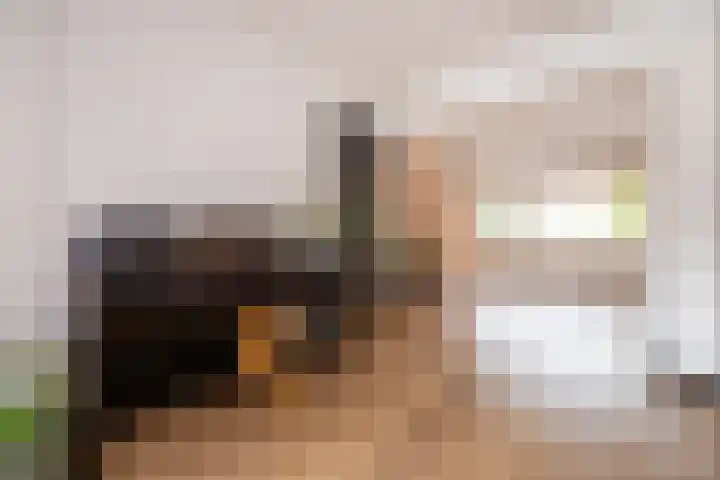 Benedicstraat 3 Gronsveld thumbnail 15