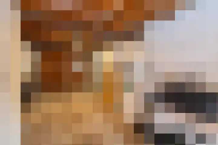 Benedicstraat 3 Gronsveld thumbnail 41