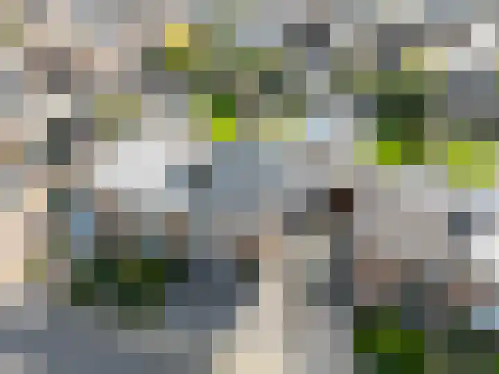 Benedicstraat 3 Gronsveld thumbnail 44