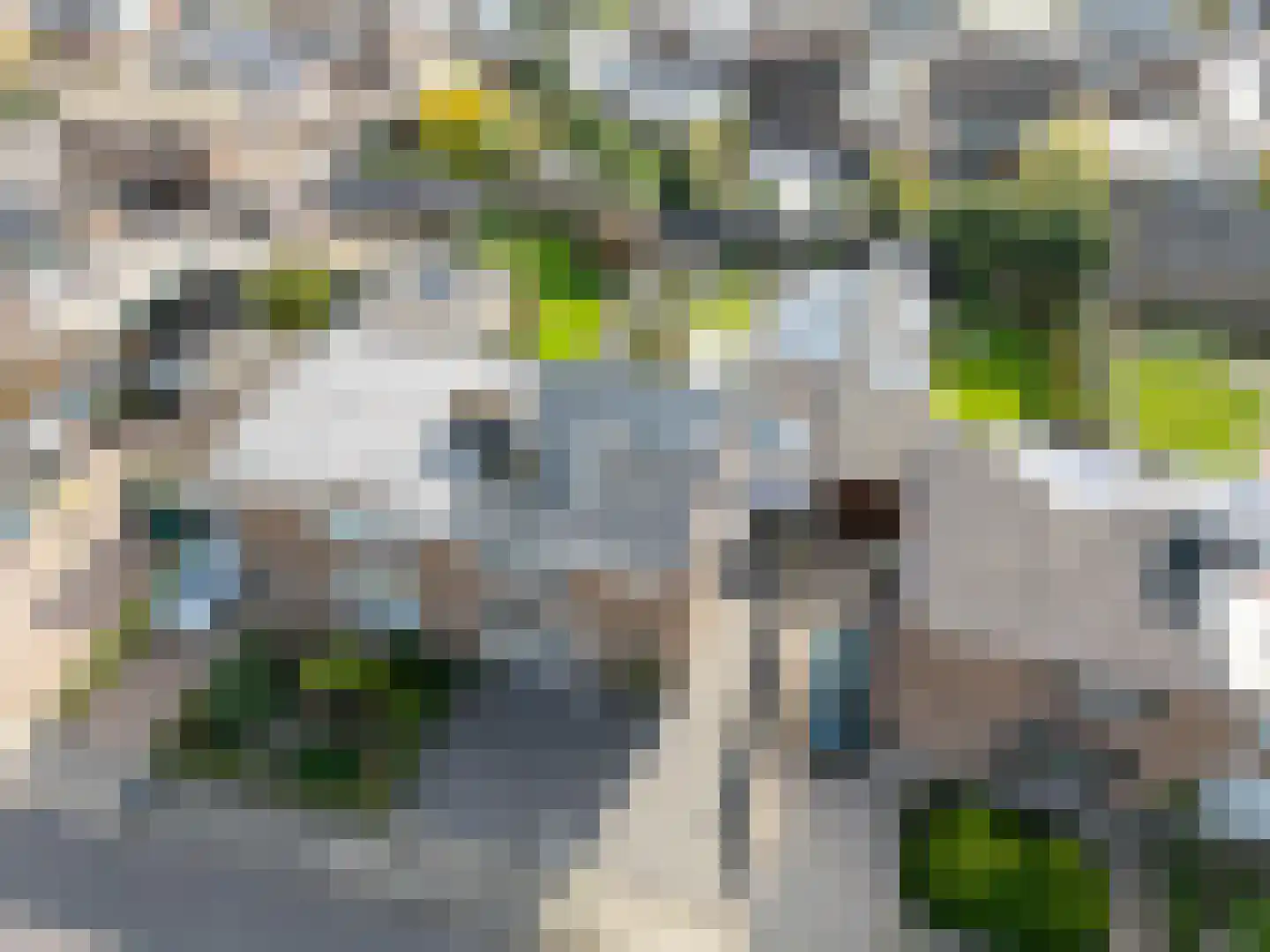 Benedicstraat 3 Gronsveld thumbnail 44