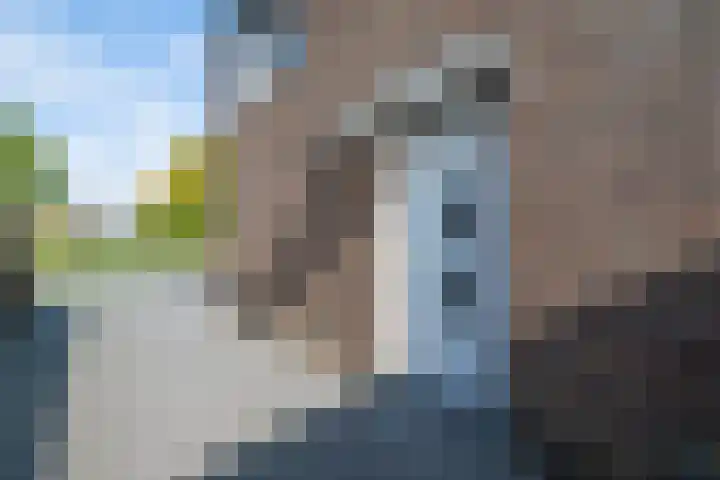 Benedicstraat 3 Gronsveld thumbnail 45