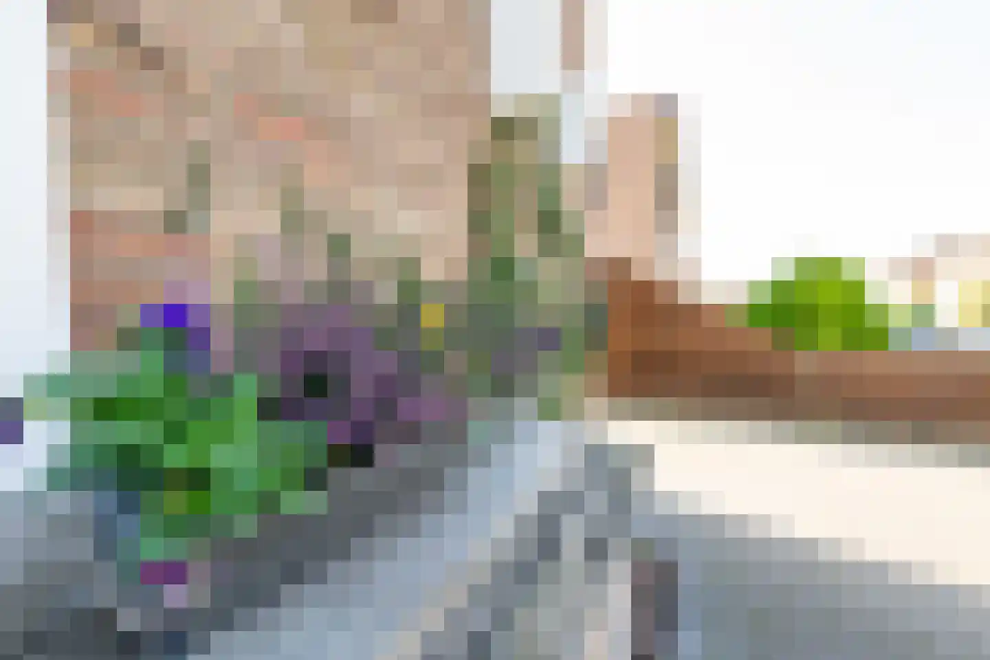 Benedicstraat 3 Gronsveld thumbnail 5