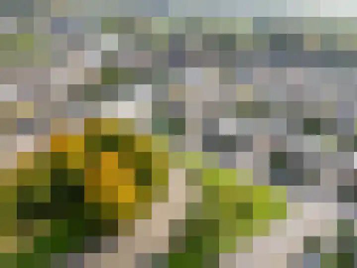 Benedicstraat 3 Gronsveld thumbnail 50