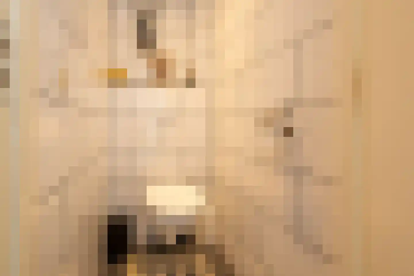 Benedicstraat 3 Gronsveld thumbnail 7