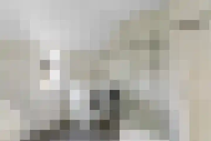 Benedictastraat 2 Bavel thumbnail 22