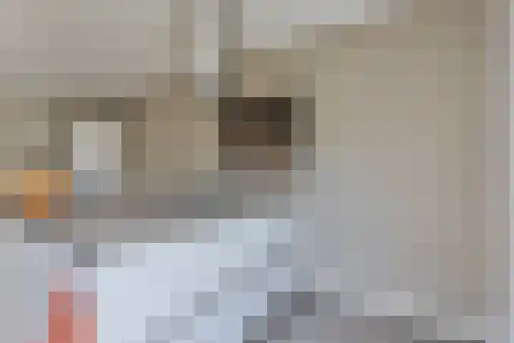 Benedictijnenborch 24 Rosmalen thumbnail 10