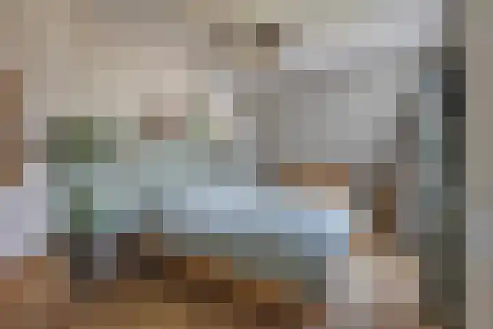 Benedictijnenborch 24 Rosmalen thumbnail 14