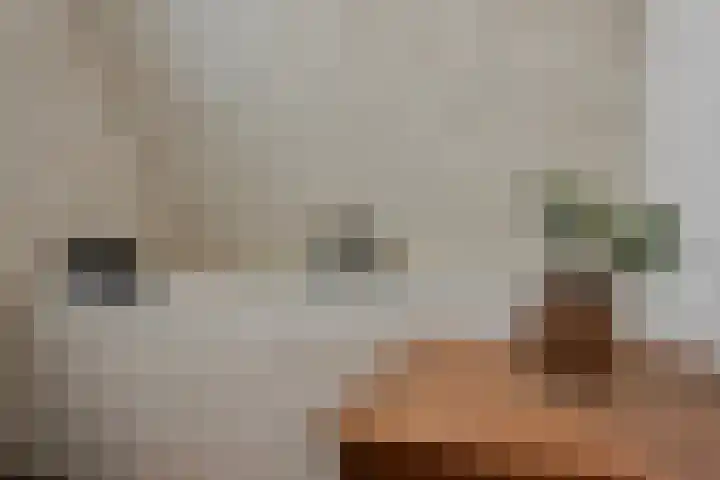 Benedictijnenborch 24 Rosmalen thumbnail 18
