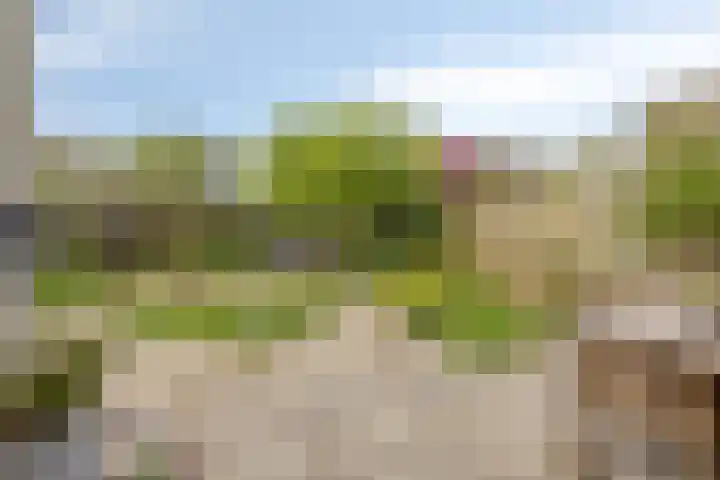 Benedictijnenborch 24 Rosmalen thumbnail 25