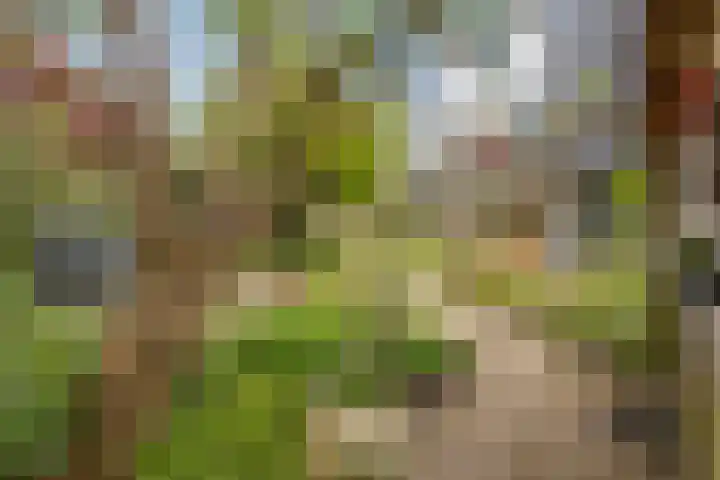 Benedictijnenborch 24 Rosmalen thumbnail 26