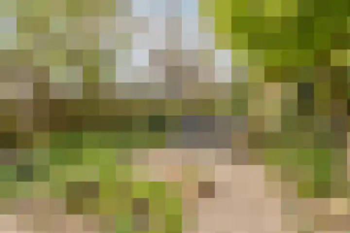 Benedictijnenborch 24 Rosmalen thumbnail 27