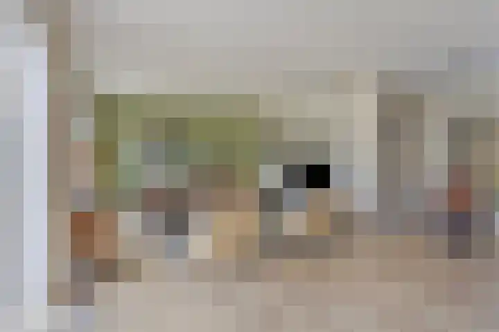 Benedictijnenborch 24 Rosmalen thumbnail 4