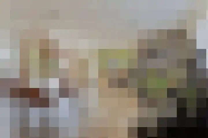 Benedictijnenborch 24 Rosmalen thumbnail 6