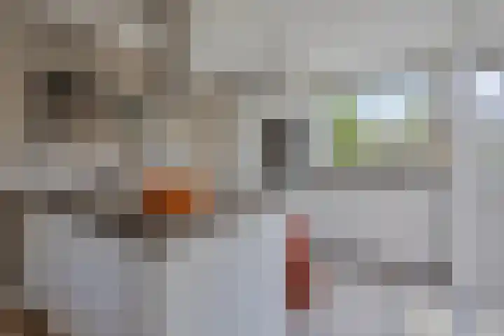 Benedictijnenborch 24 Rosmalen thumbnail 8