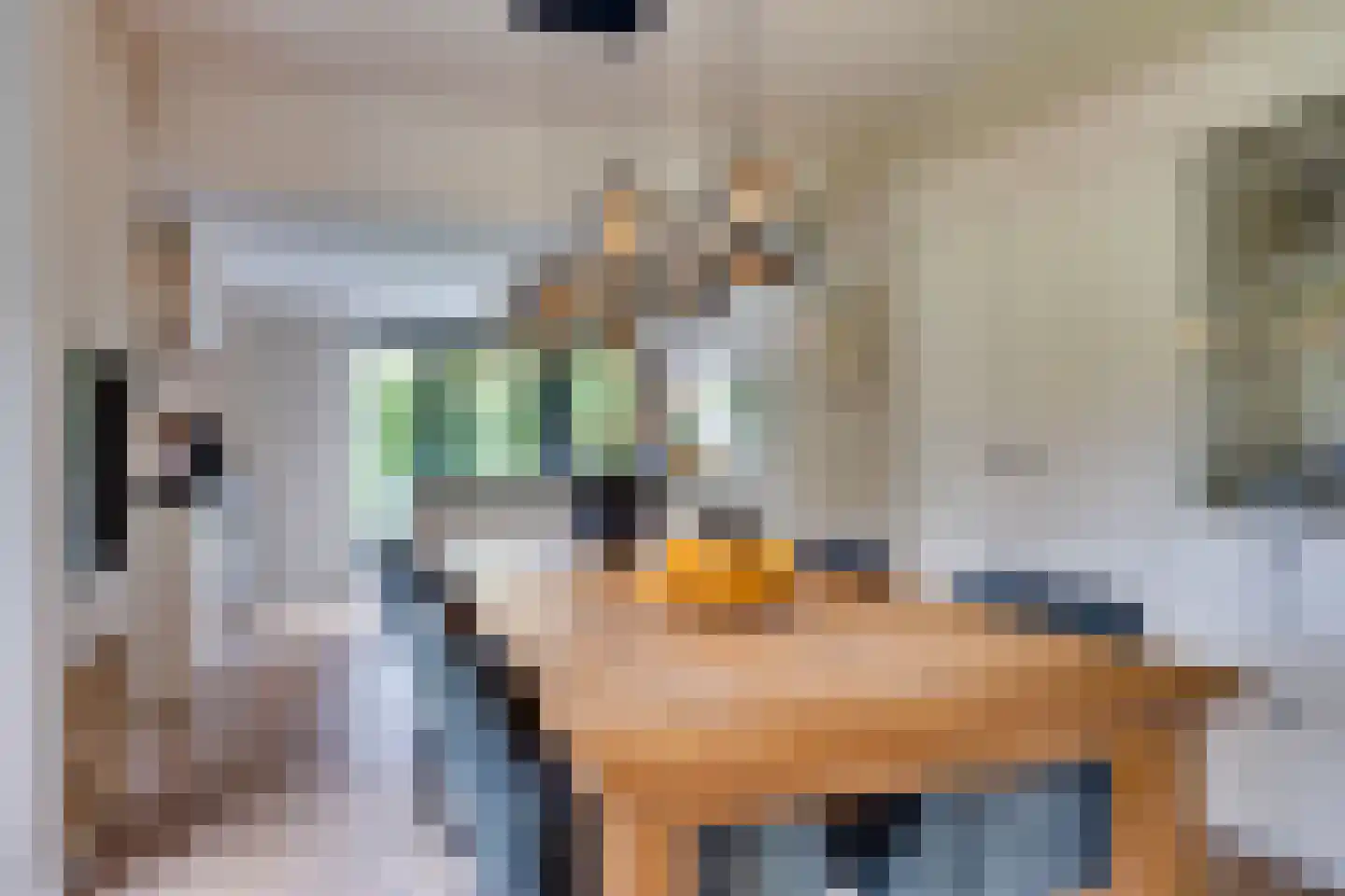 Benedictijnenhove 113 Leusden thumbnail 13