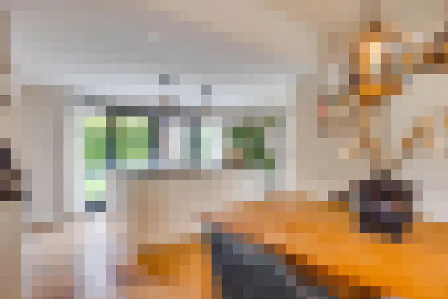 Benedictijnenhove 113 Leusden thumbnail 14