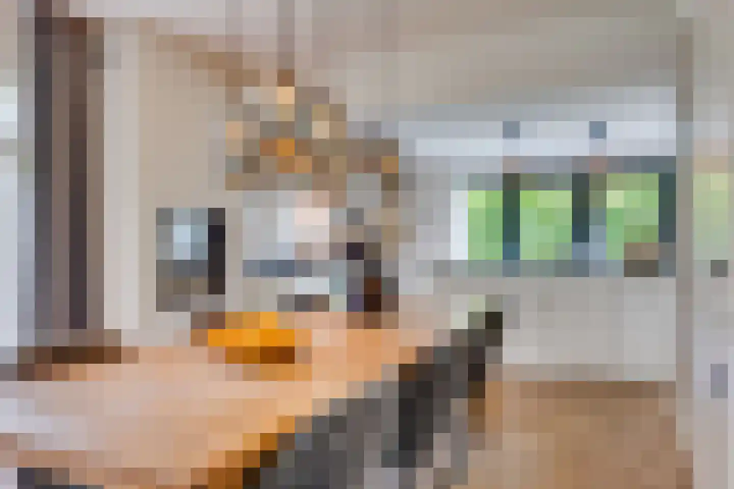 Benedictijnenhove 113 Leusden thumbnail 15