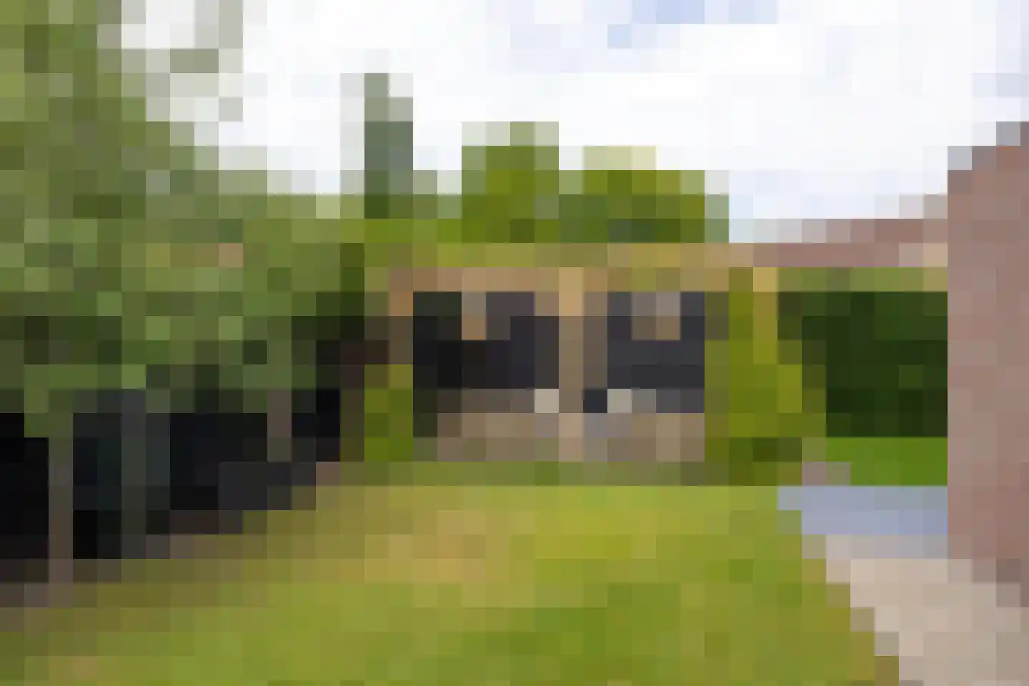 Benedictijnenhove 113 Leusden thumbnail 41