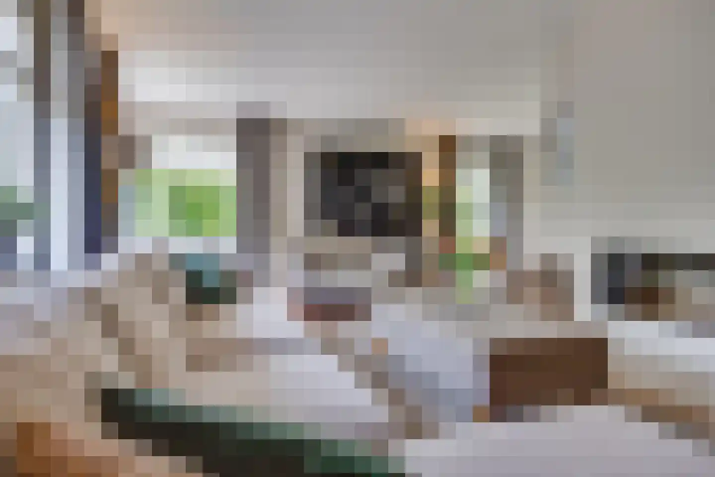Benedictijnenhove 113 Leusden thumbnail 8