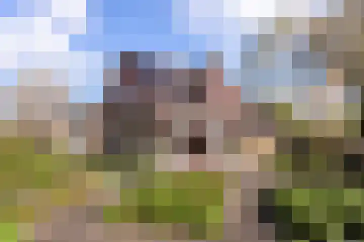 Benedictijnenhove 115 Leusden thumbnail 21