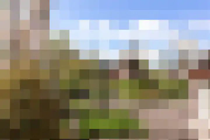 Benedictijnenhove 115 Leusden thumbnail 22