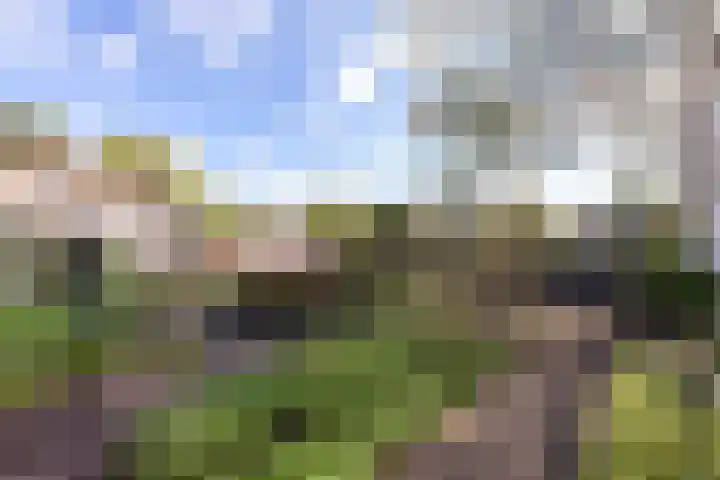 Benedictijnenhove 115 Leusden thumbnail 23