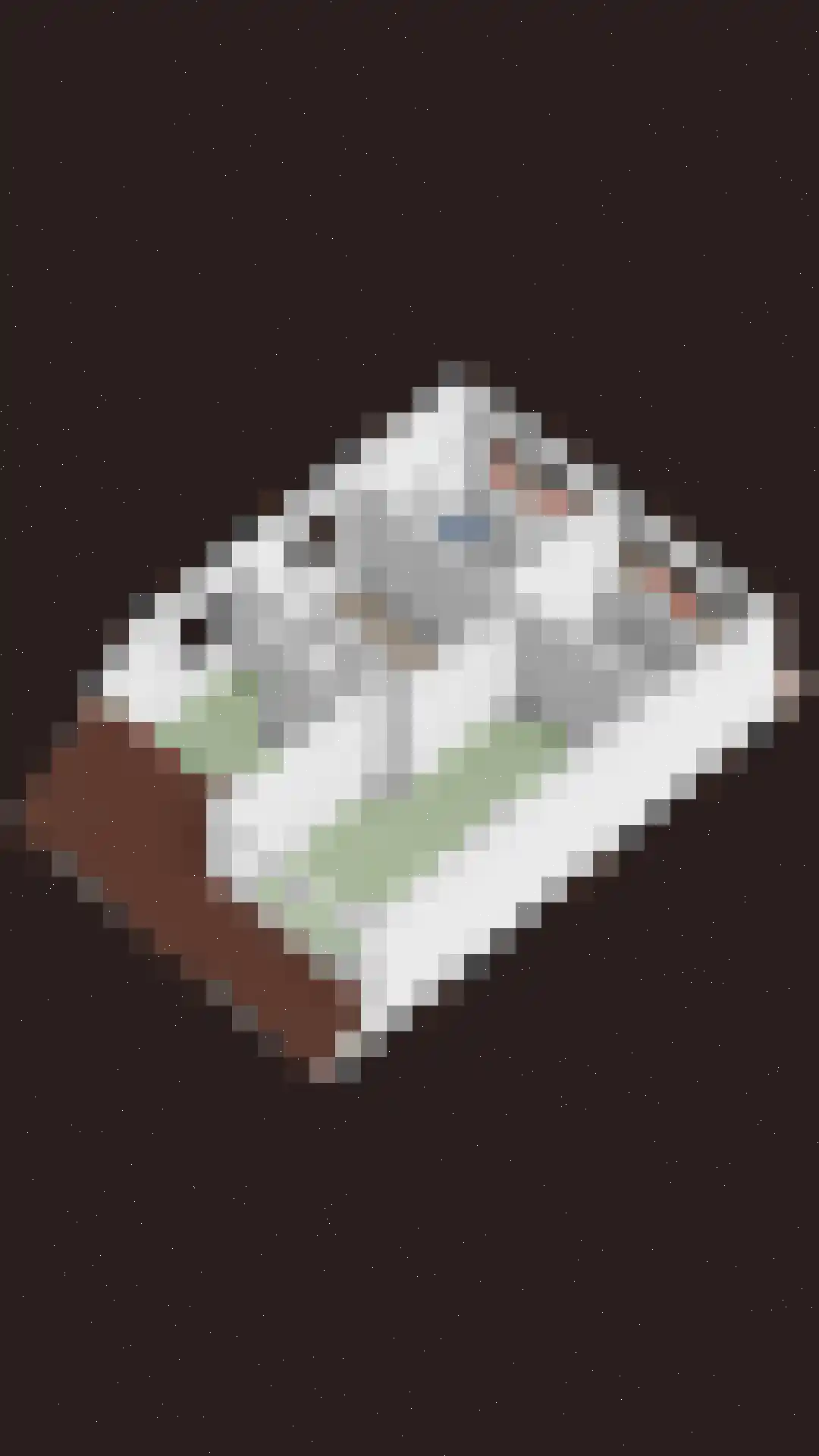 Benedictijnenhove 32 Leusden thumbnail 34