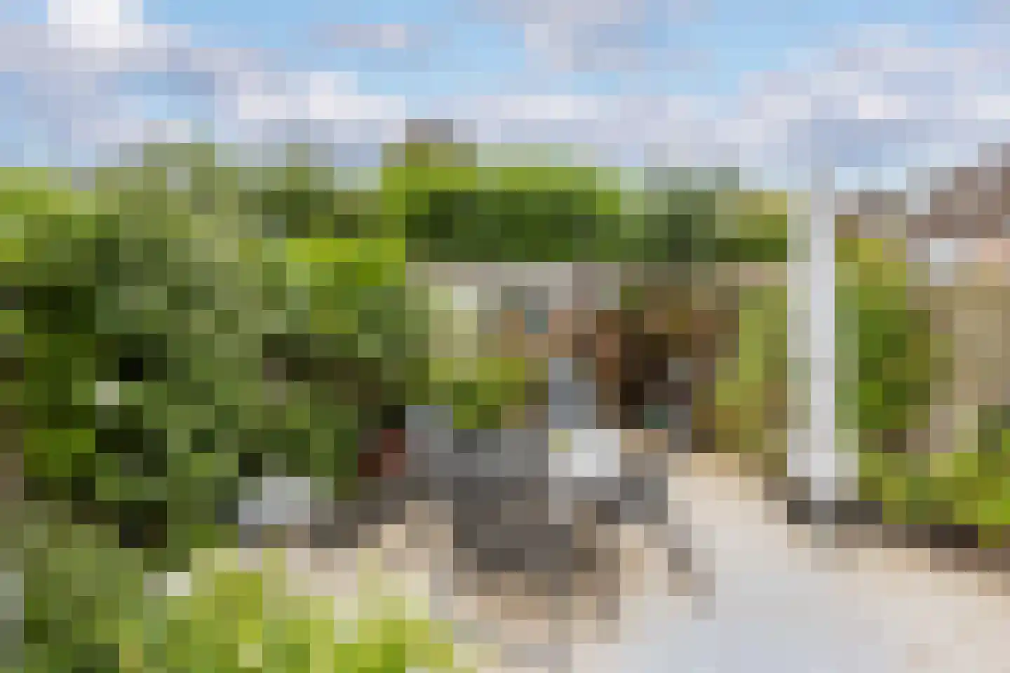Benedictijnenhove 50 Leusden thumbnail 11