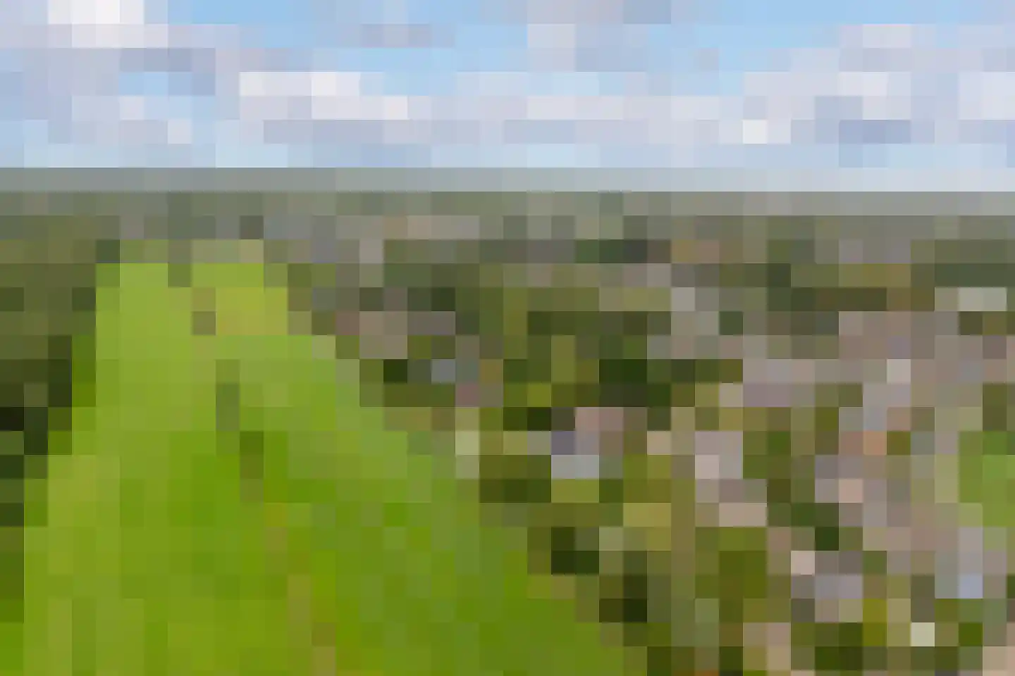 Benedictijnenhove 50 Leusden thumbnail 30