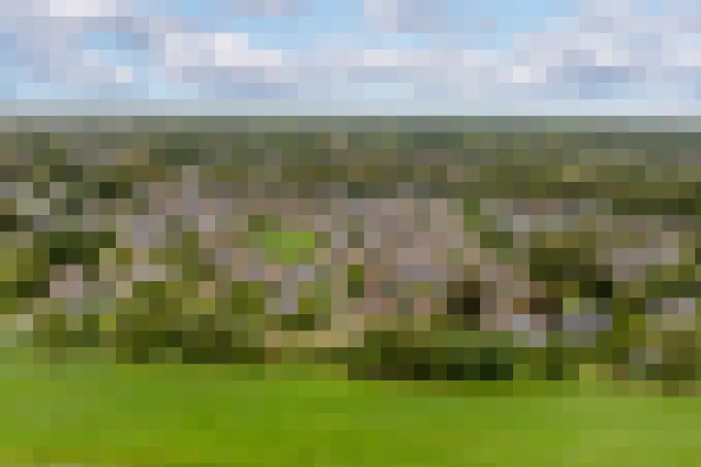 Benedictijnenhove 50 Leusden thumbnail 31