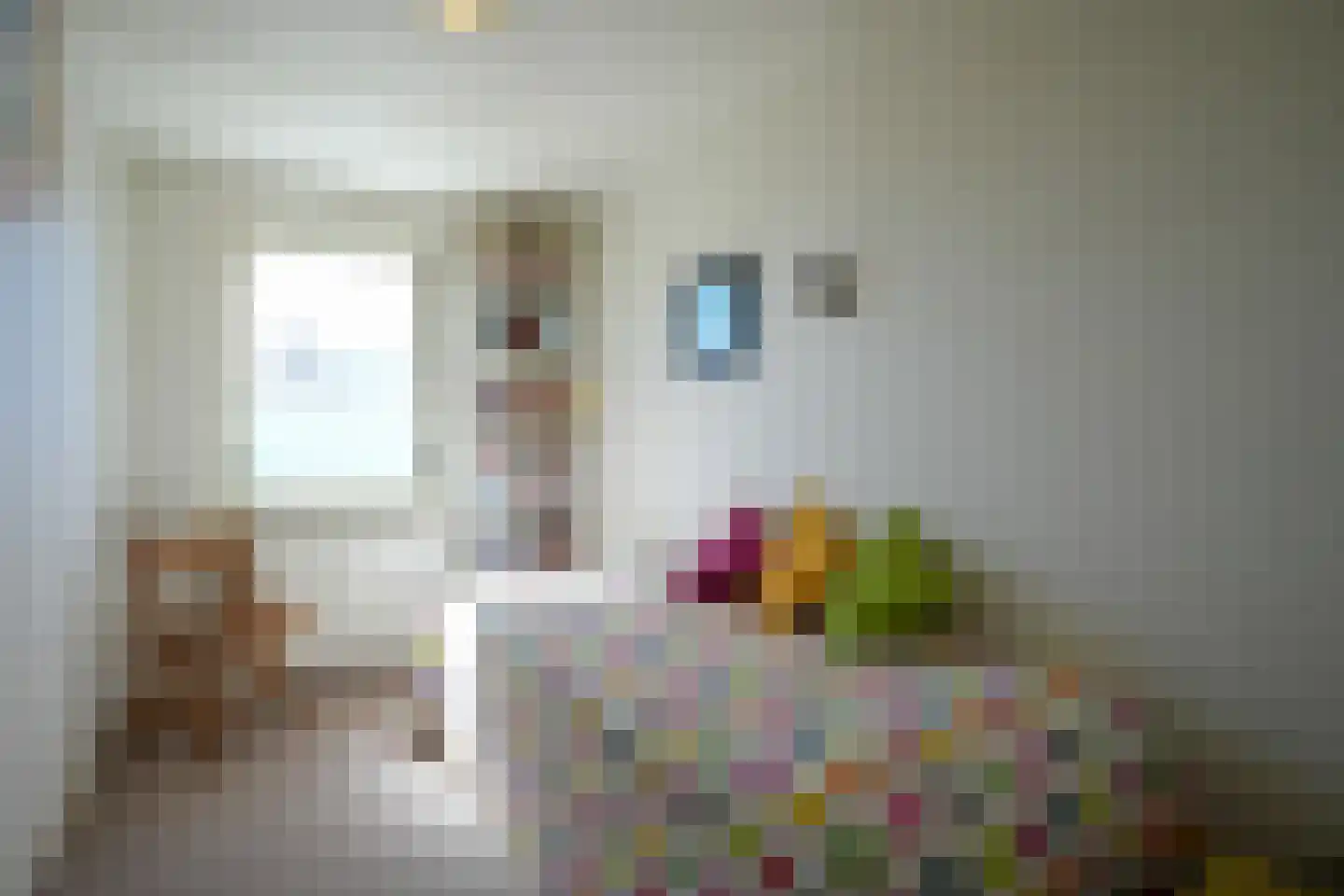 Benedictijnenstraat 19 Vijlen thumbnail 15