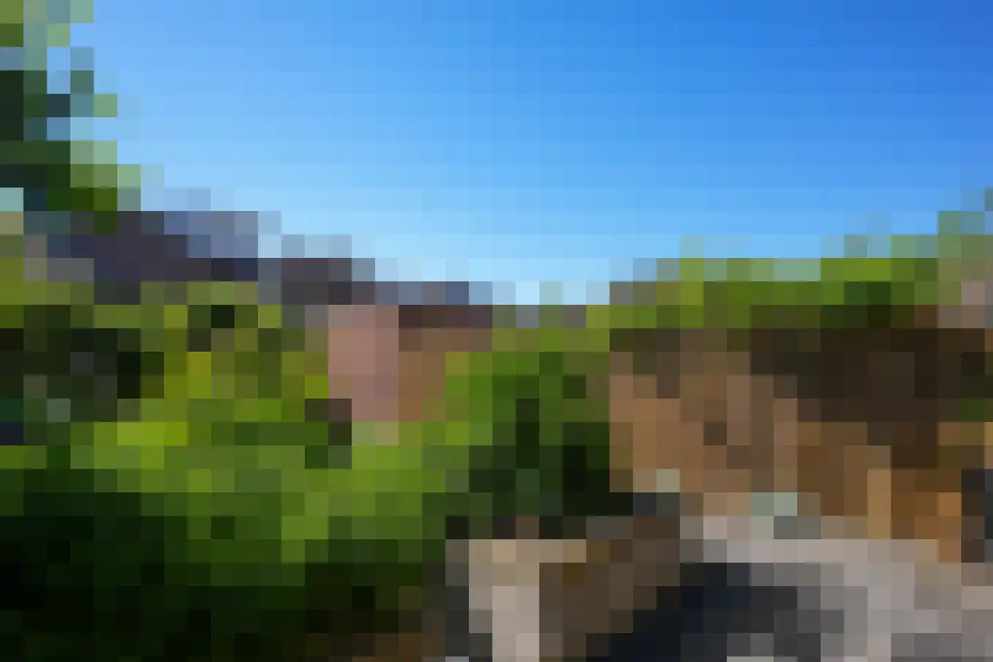 Benedictijnenstraat 19 Vijlen thumbnail 30
