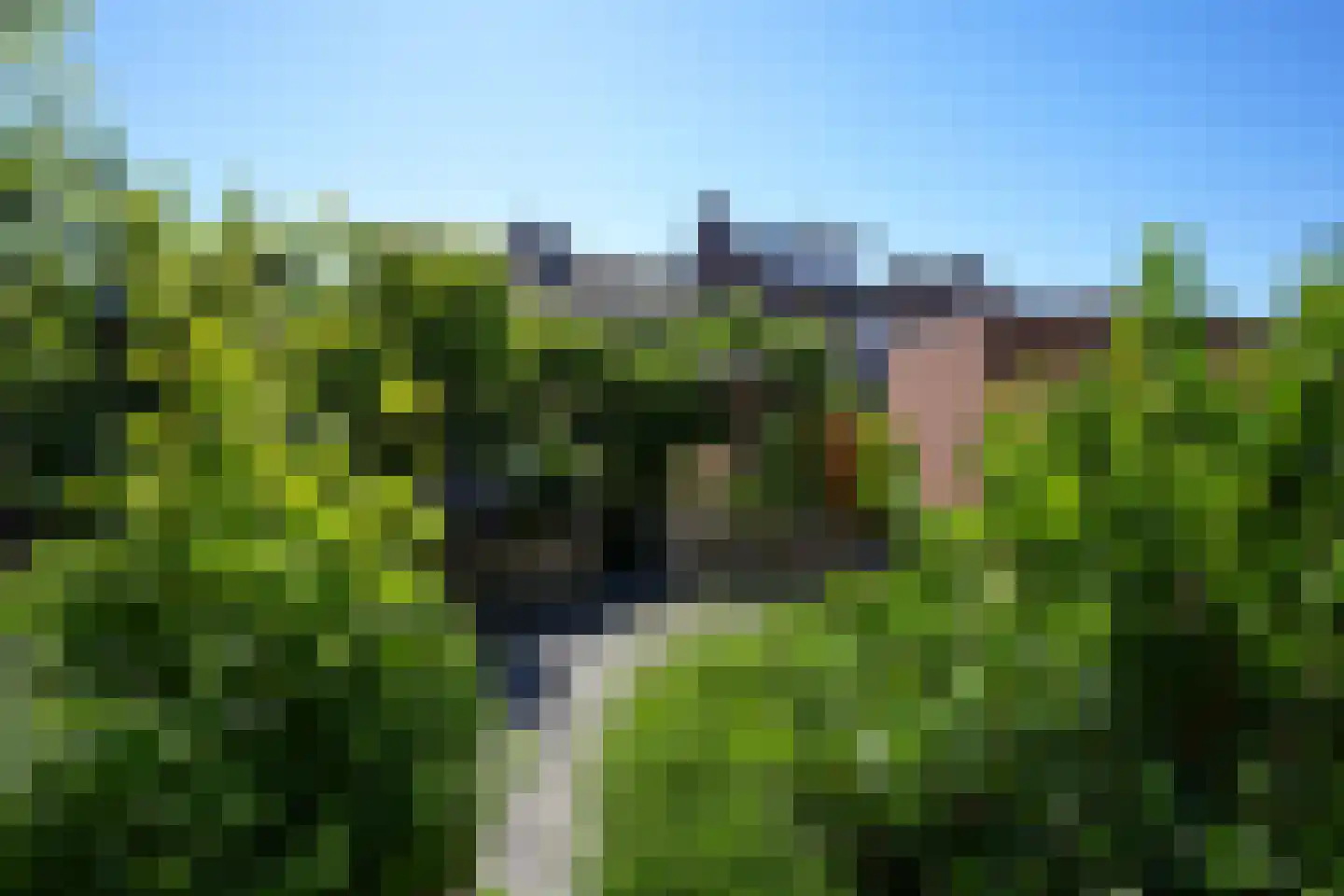 Benedictijnenstraat 19 Vijlen thumbnail 31