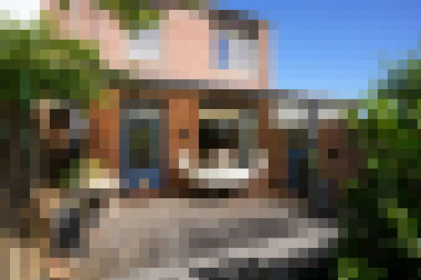 Benedictijnenstraat 19 Vijlen thumbnail 34