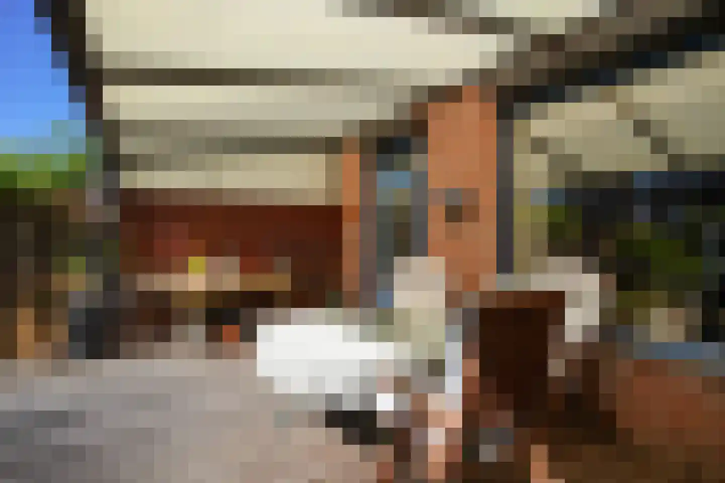 Benedictijnenstraat 19 Vijlen thumbnail 36
