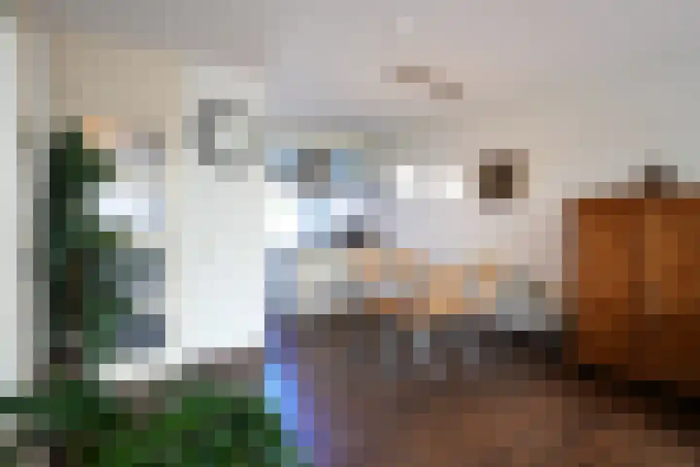 Benedictijnenstraat 19 Vijlen thumbnail 5