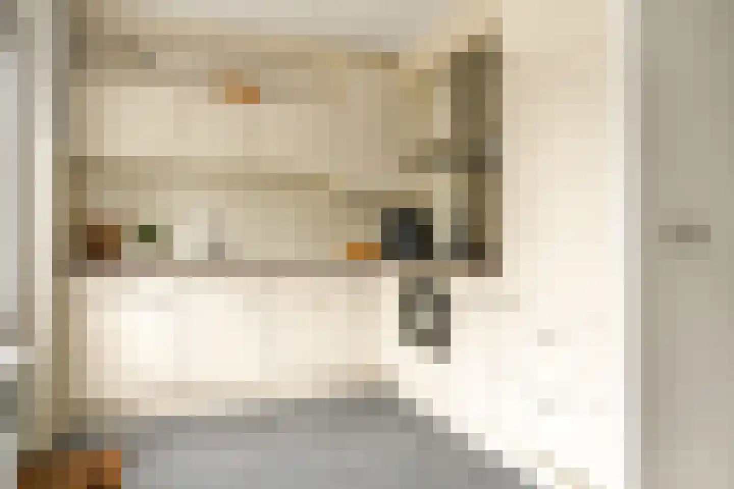 Benedictijnenstraat 2 Assendelft thumbnail 11