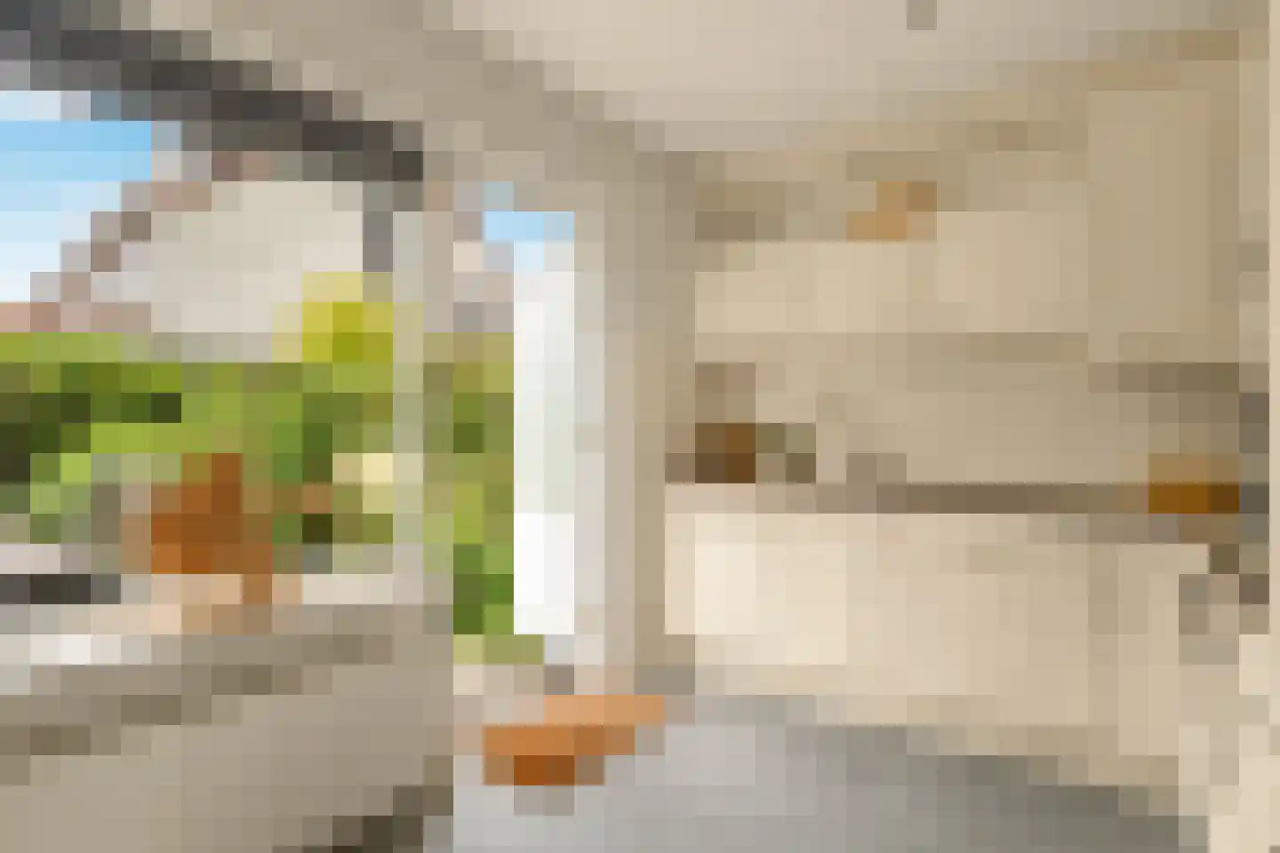 Benedictijnenstraat 2 Assendelft thumbnail 13
