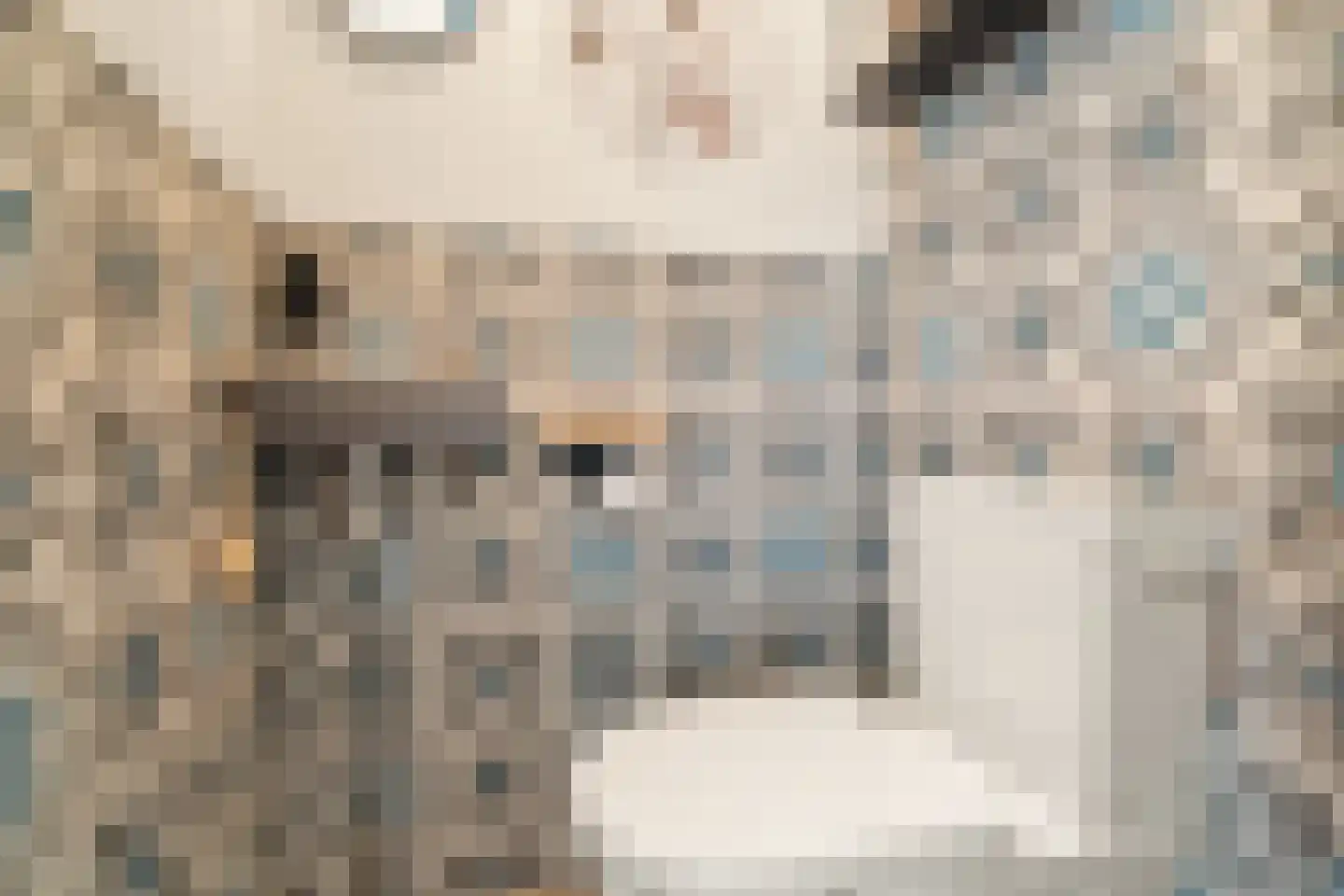 Benedictijnenstraat 2 Assendelft thumbnail 21