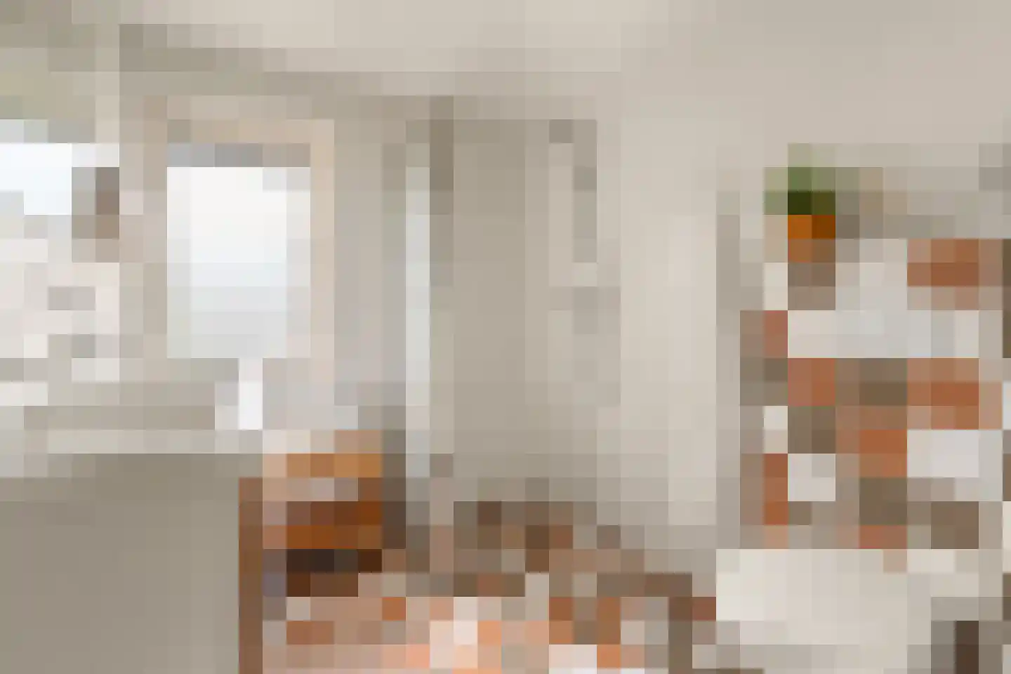 Benedictijnenstraat 2 Assendelft thumbnail 28