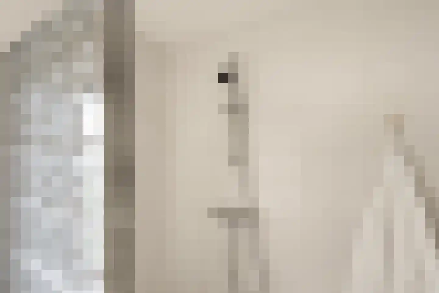 Benedictijnenstraat 2 Assendelft thumbnail 29