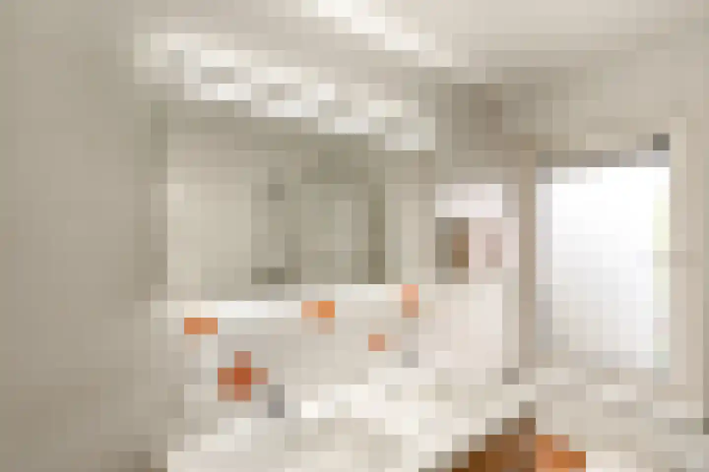 Benedictijnenstraat 2 Assendelft thumbnail 30