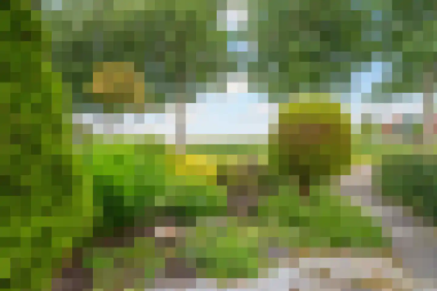 Benedictijnenstraat 2 Assendelft thumbnail 36