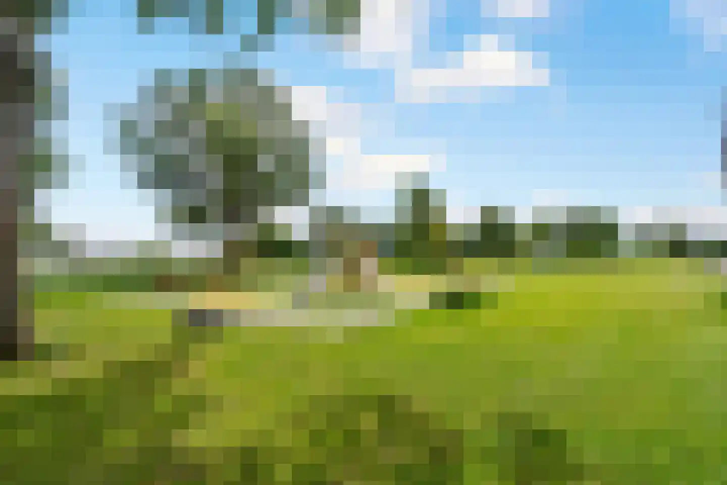Benedictijnenstraat 2 Assendelft thumbnail 38